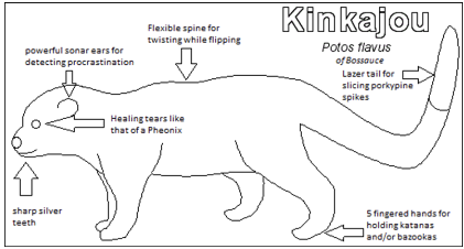 diagram of a kinkajou